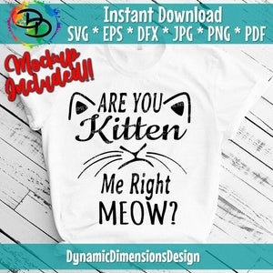 Are you Kitten me right now?